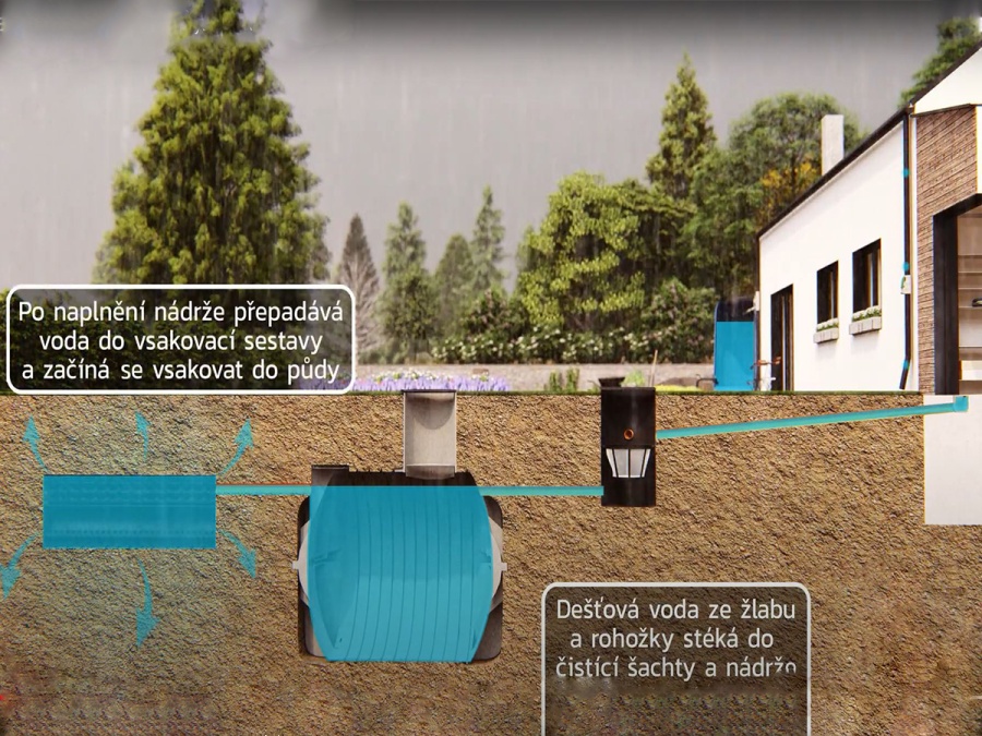 Scobax Panettone SET