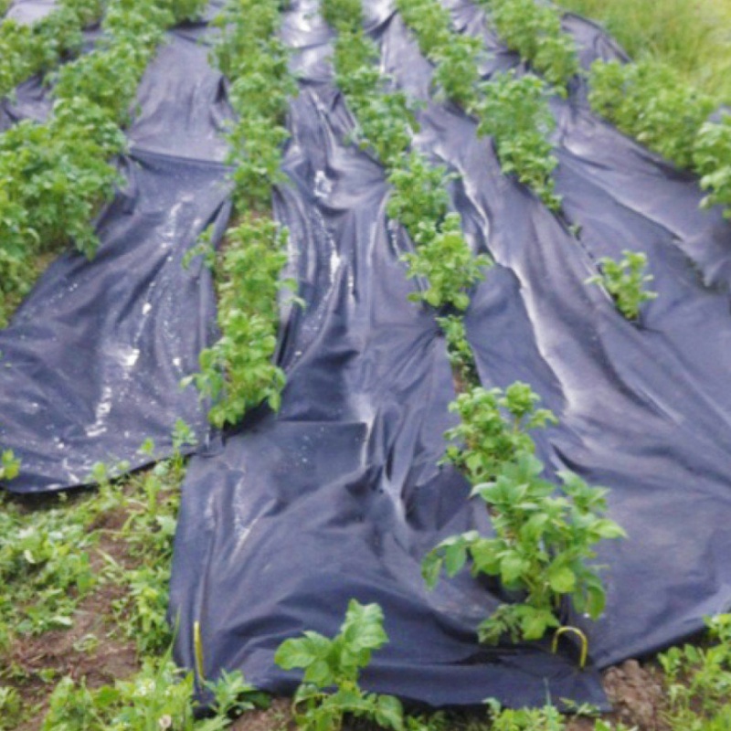 Gutta Agro černá 1,6 x 25 m