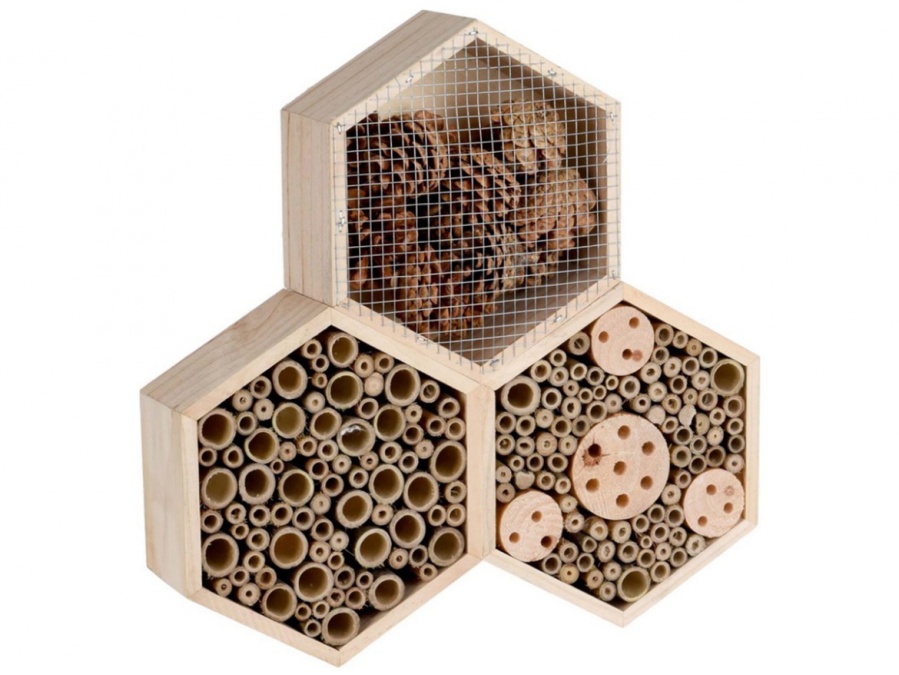 O hmyzom hotelierstve