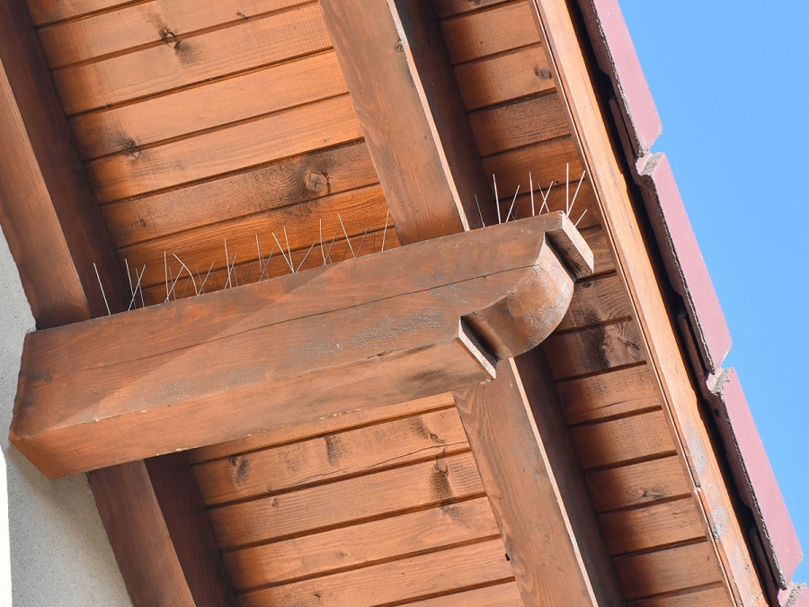 Ochranné hroty proti ptákům G21