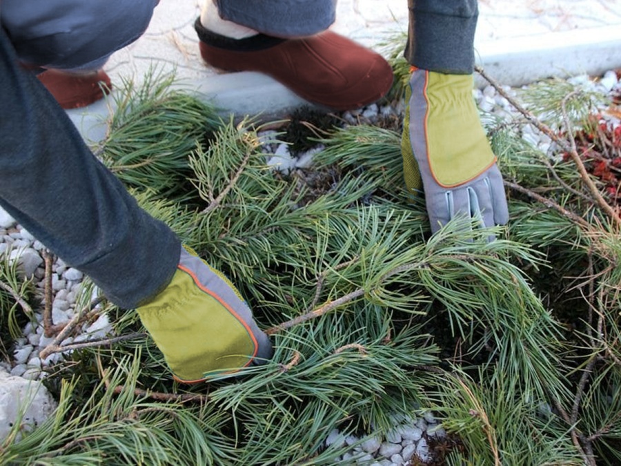 Kompletní průvodce zazimováním zahrady