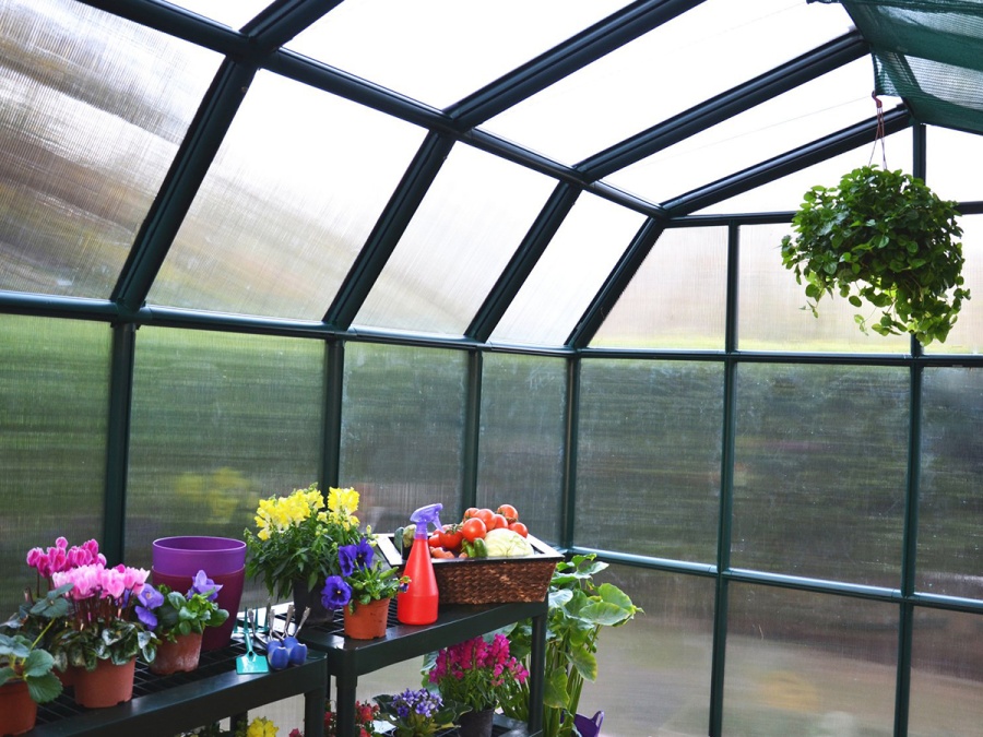 Skleník Scobax Louvre