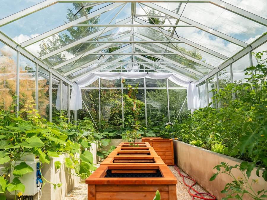 Klasický skleník na podezdívce Euro-Serre Plus On-Wall