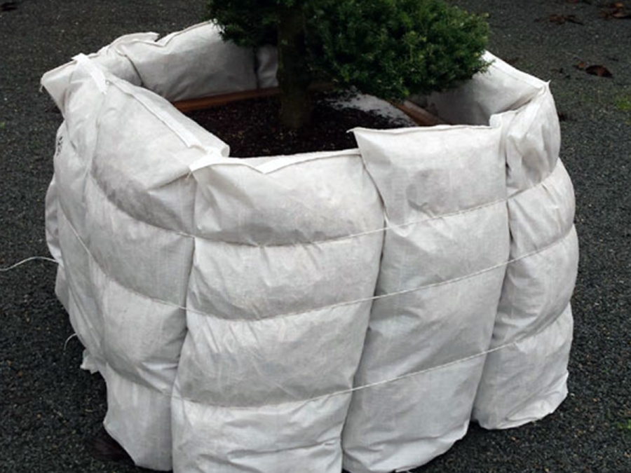 Kompletný sprievodca zazimovaním záhrady