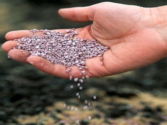 Kompletní průvodce zazimováním zahrady