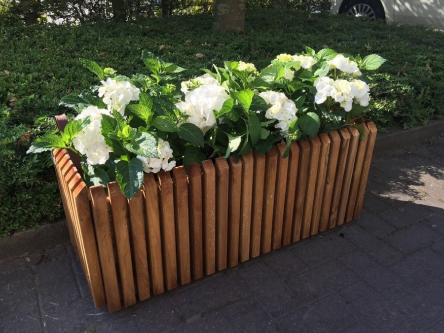 Truhlík Scobax Barcelona