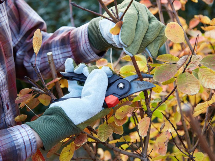 Kompletní průvodce zazimováním zahrady