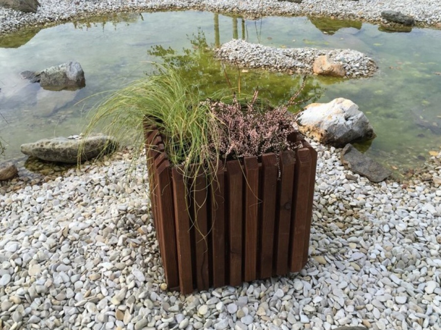 Truhlík Scobax Barcelona