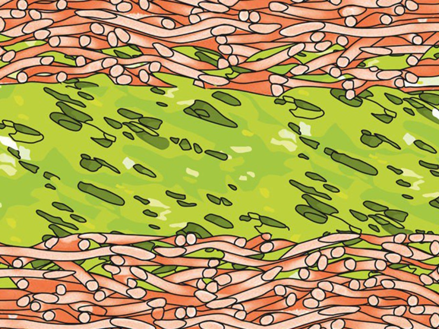 Kontaktná trojvrstvová difúzne otvorená fólia Gutta Guttafol DO 121 S