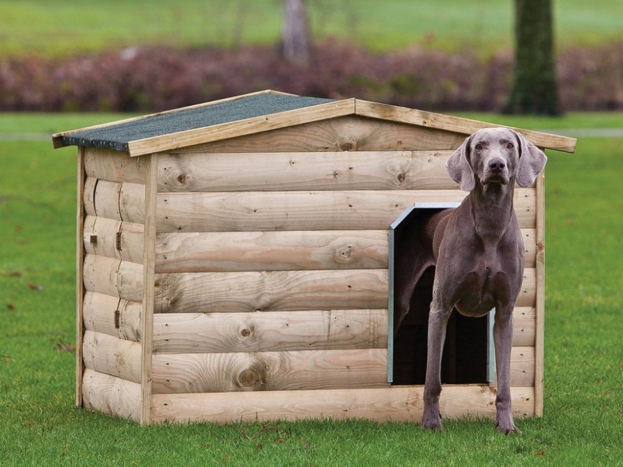 Dárková poukázka Buildex