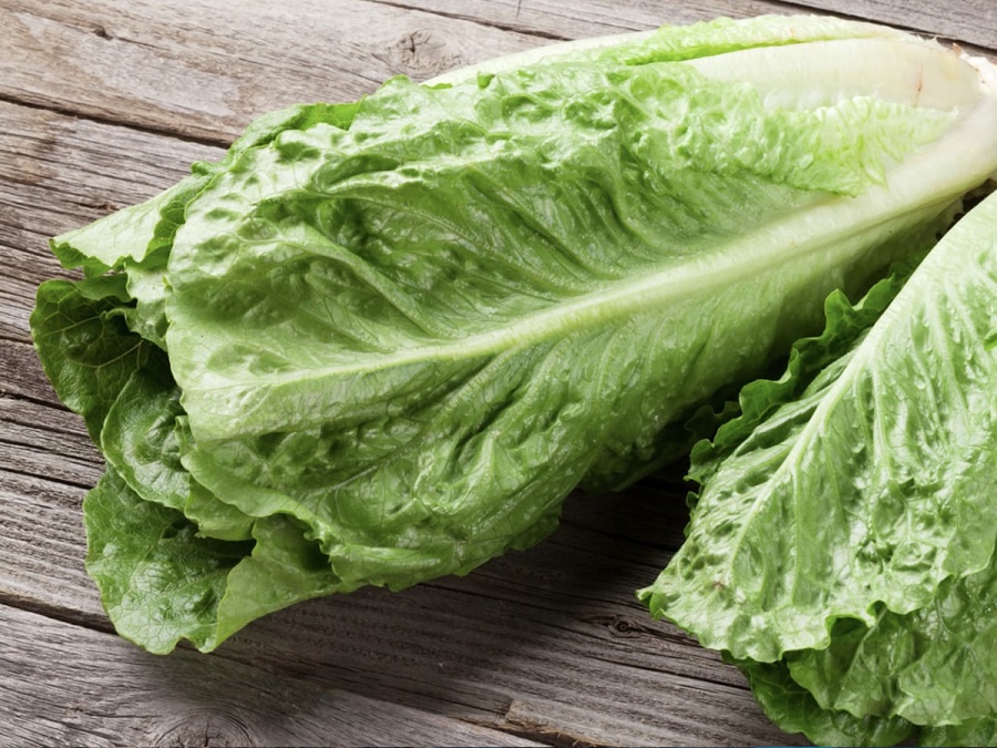 Zima? Nevadí! Co pěstovat ve skleníku na podzim?