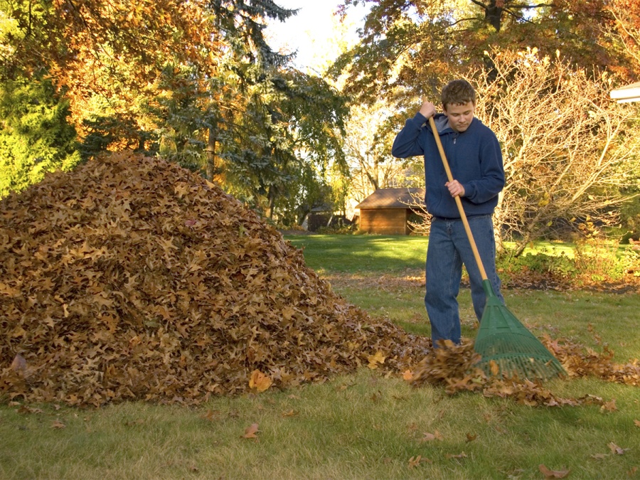 Kompletný sprievodca zazimovaním záhrady
