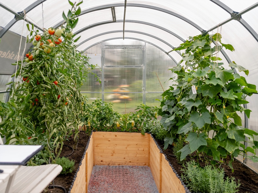 Náš autonomní skleník na hortibotickém dni