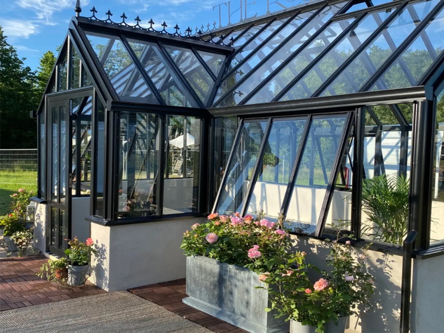 Üvegház Vansta Rugosa