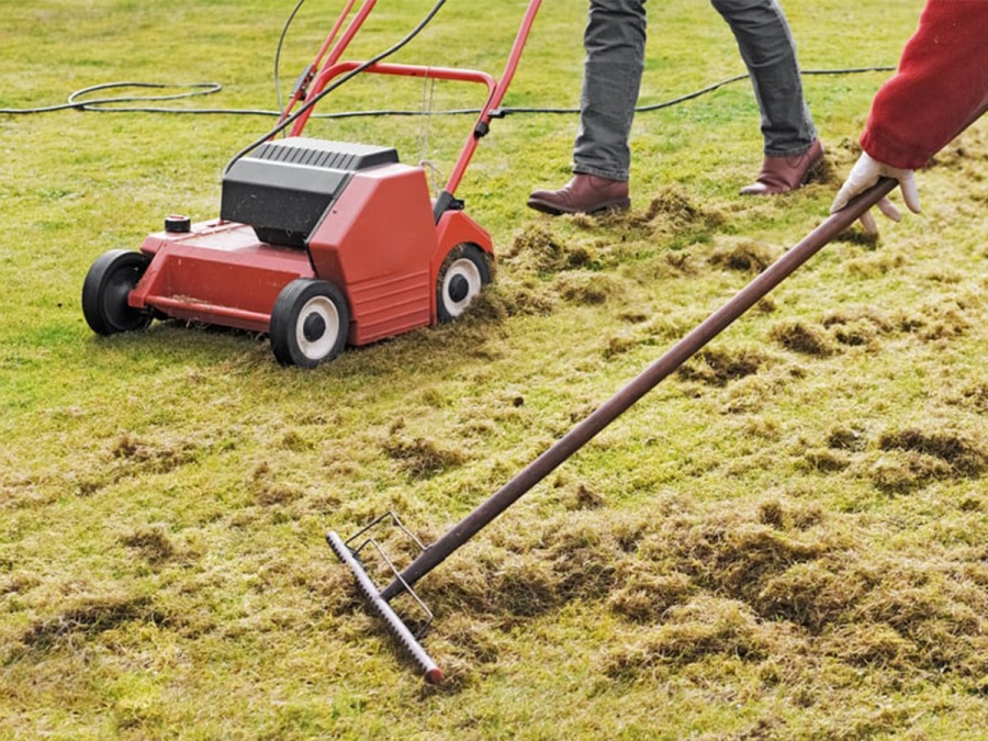 Kompletný sprievodca zazimovaním záhrady