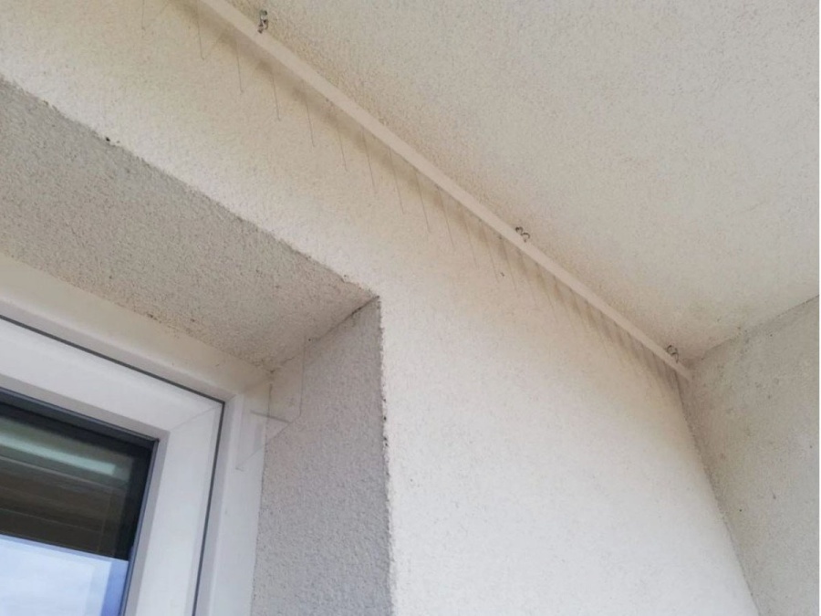 Stop hniezdom Gutta Stop hnízdům