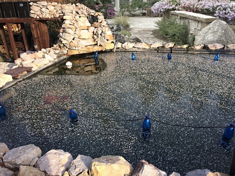 Kompletný sprievodca zazimovaním záhrady