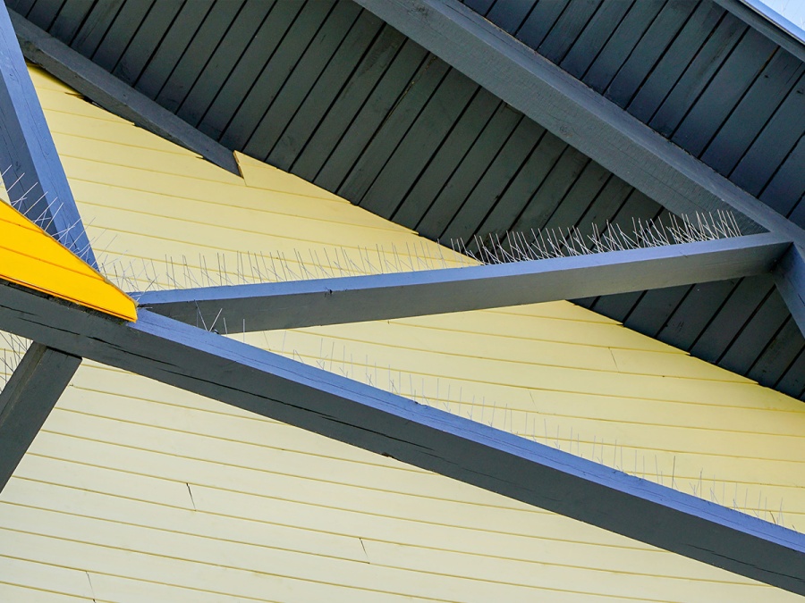 Ochranné hroty proti ptákům G21