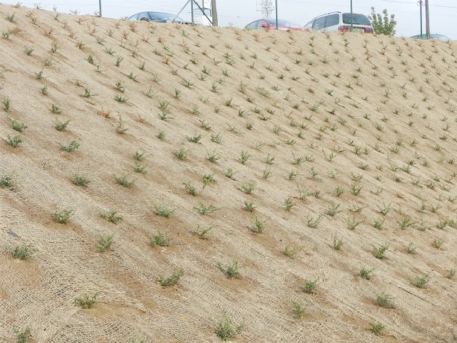 Protierozní síť Scobax Scobanet