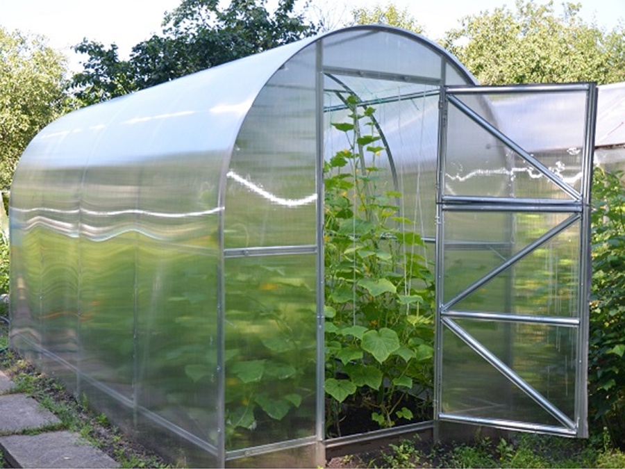 Skleník Volya Dvushka