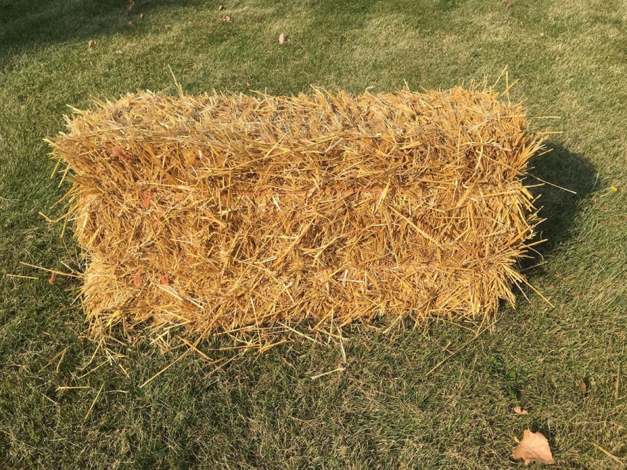 Kompletný sprievodca zazimovaním záhrady