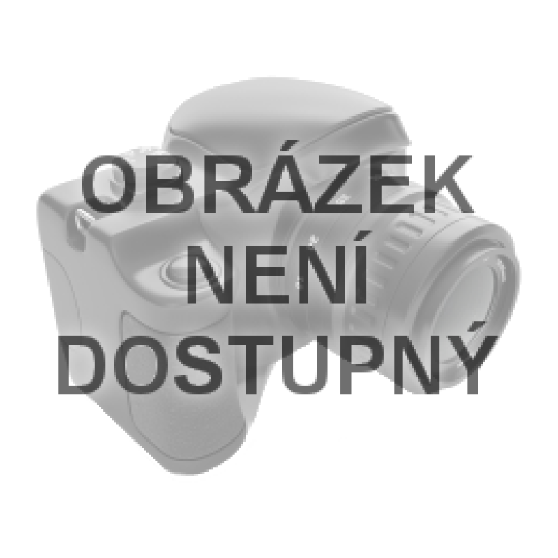 Riwall PRO Vodící lišta 50 cm (20